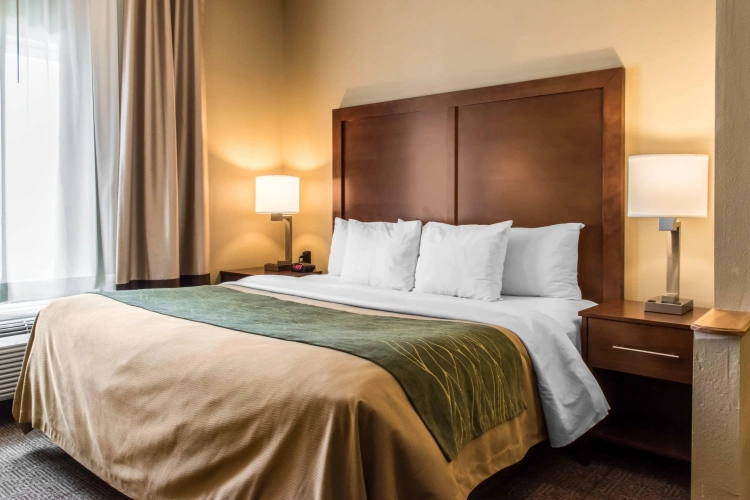 Standard Double room