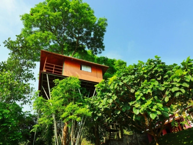 Cottage
