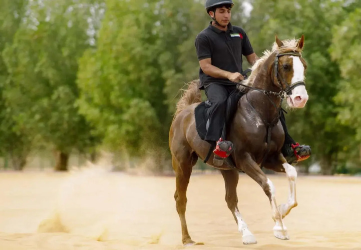 八达度假村外景图