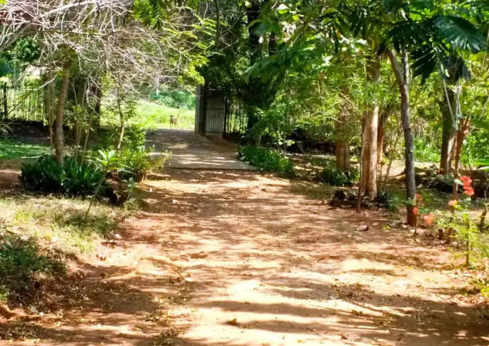 Yoho Lavonrich Bungalow