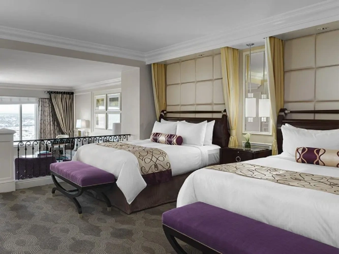 Premium Double Club Suite