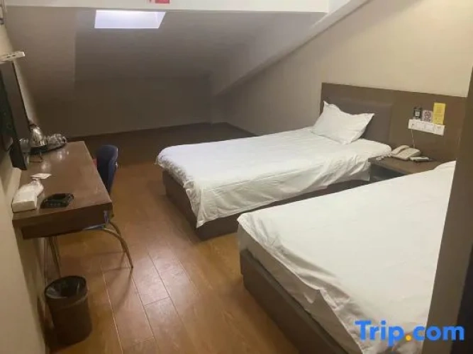 Standard Twin Attic room