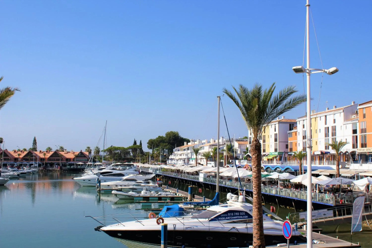Vilamoura Dolphin Studio
