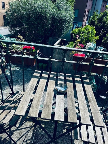 Standard Double room with balcony and with garden view