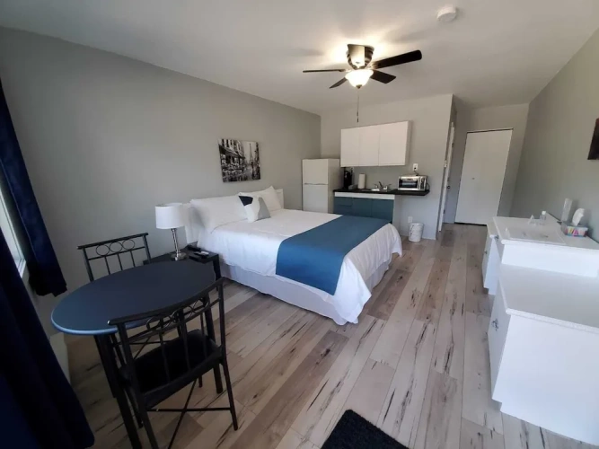 Premier Double Basement Studio