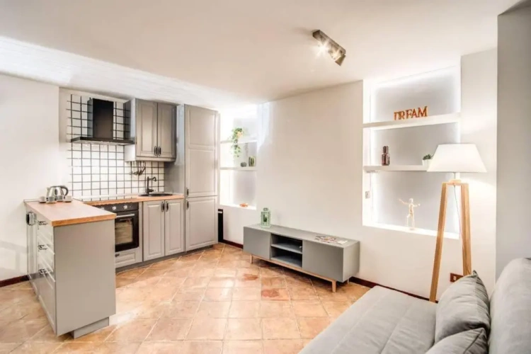 1 Bedroom Apartment