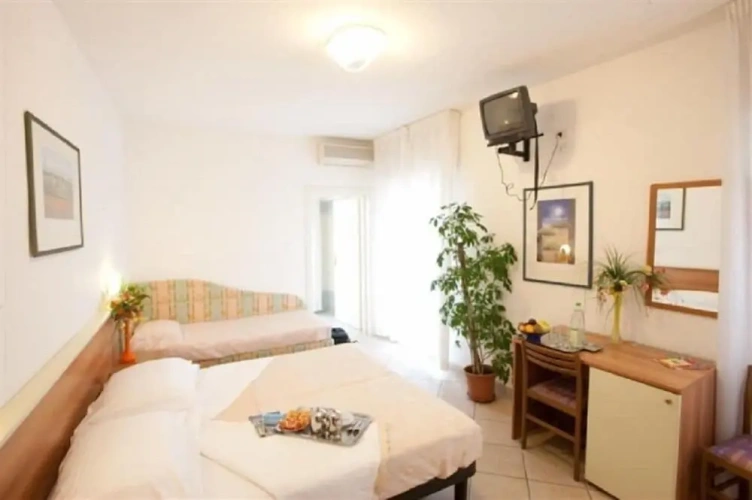 Standard Double room with balcony and with view