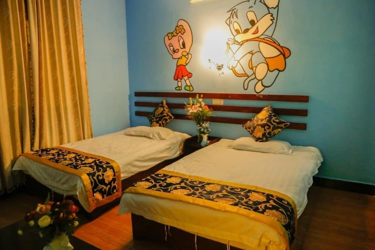 Lazy cat hostel