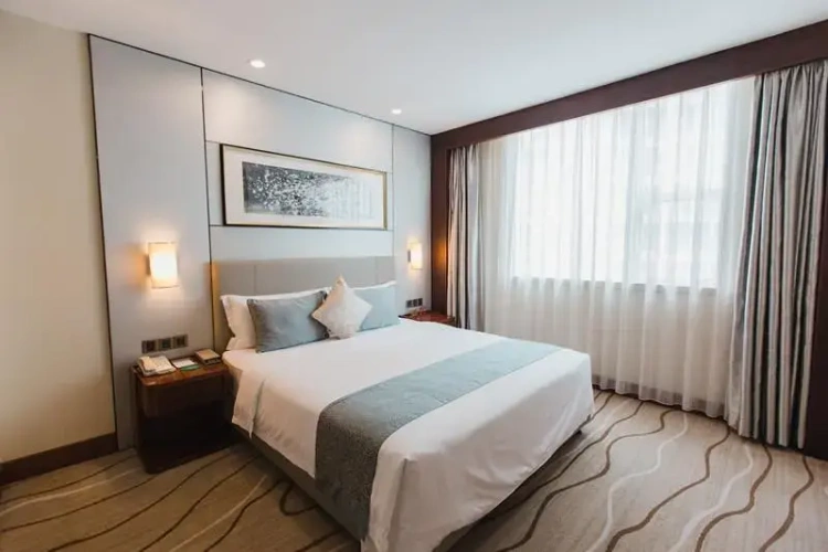 Deluxe Single Suite