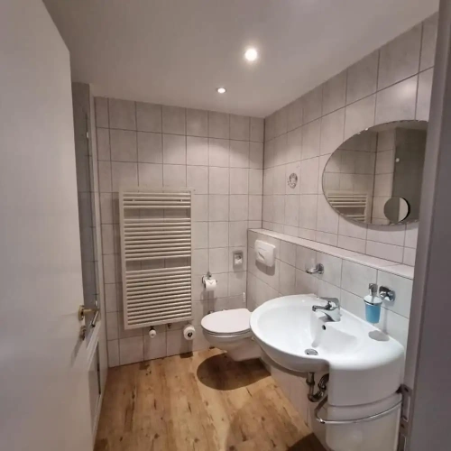 Standard Double room with balcony and with mountain view