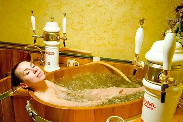 Wellness Hotel Bahenec