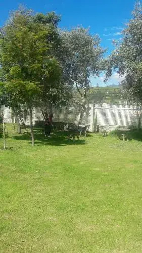 Tambo Koya