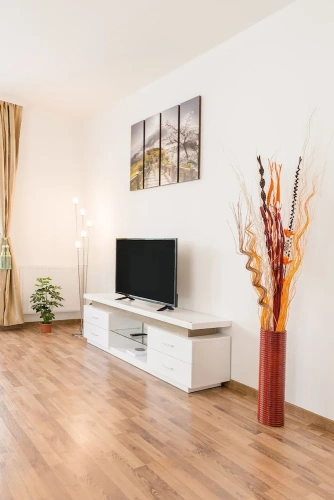 2 Bedrooms Apartment with balcony