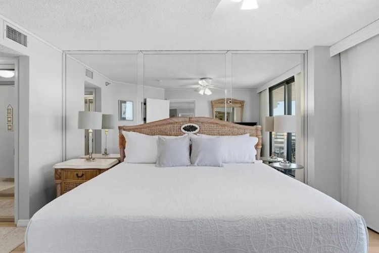 Sand Dollar 501