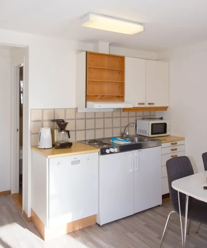 1 Bedroom Classic Apartment
