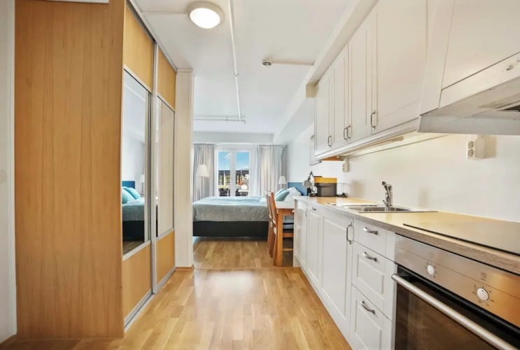 Deluxe Apartment