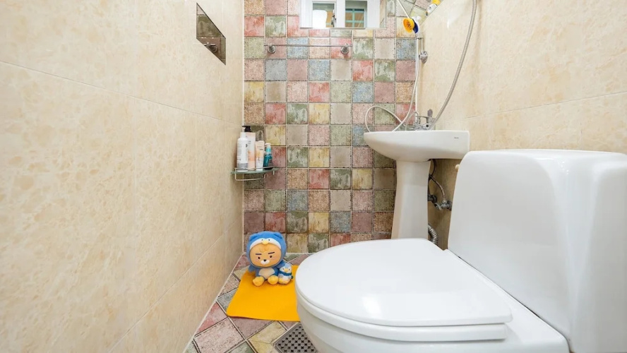 Gapyeong Daengdaengi Dog Pension Silver