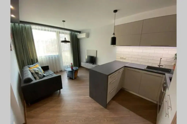 LUX 1BD/1BA City Center Apartment