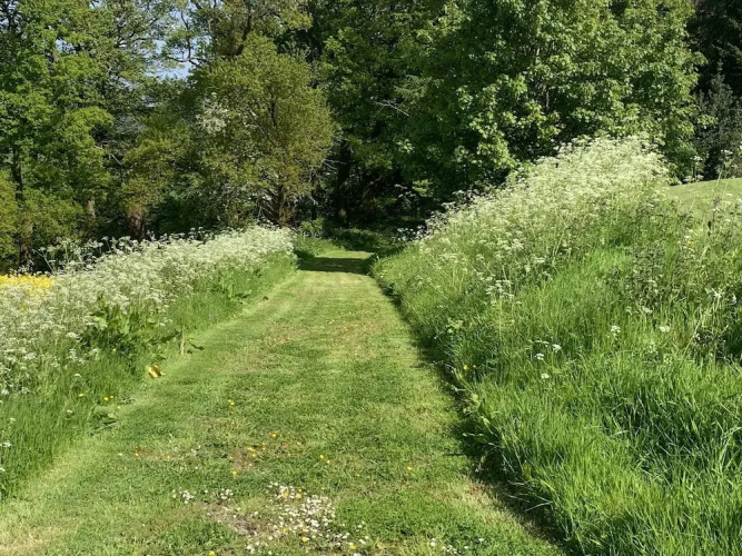 Upper Home Farm