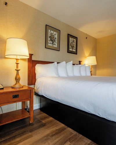 Deluxe Double room with balcony and with view