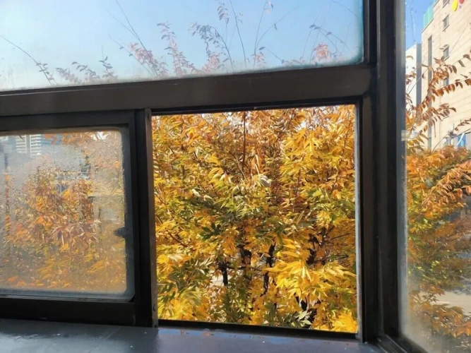 1 Bedroom Deluxe Double room
