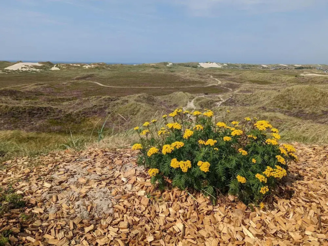 6 Person Holiday Home in Hvide Sande