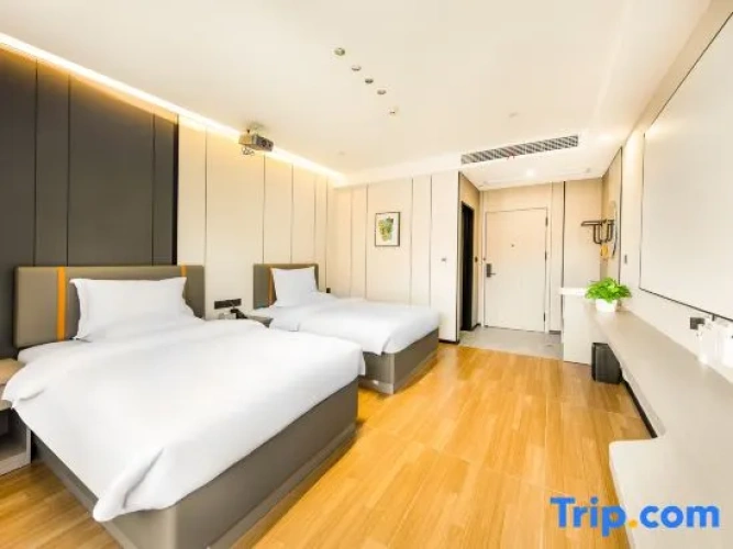 Standard Twin room with mountain view