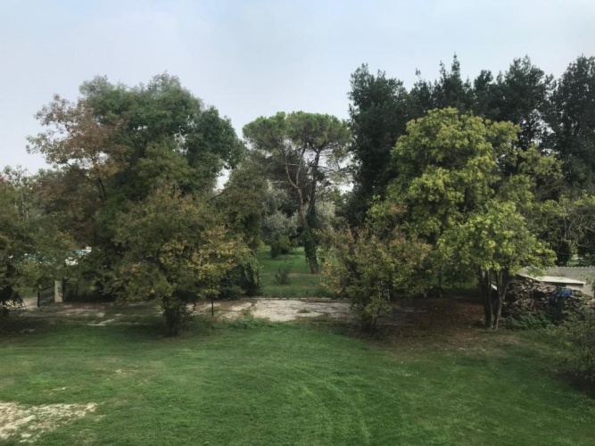 Standard Double room with view