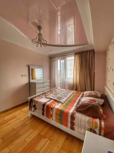 Apartment Dolphin