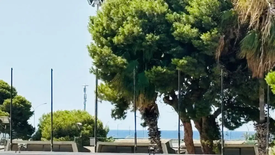 Sunshine Apartment - Cagliari