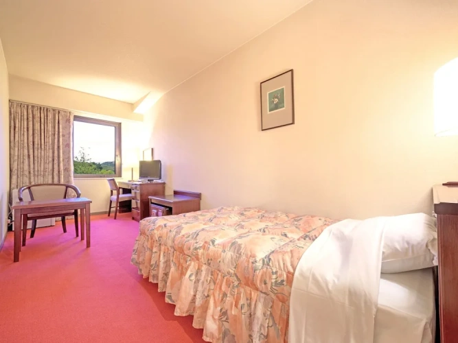 Classic Single room