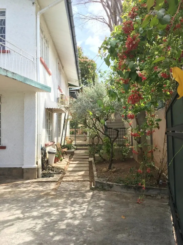 Oasis Petrea