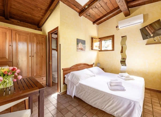 1 Bedroom Classic Studio