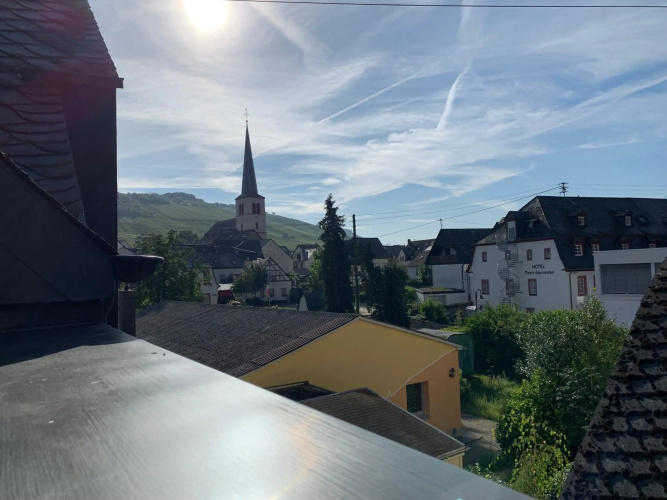Zur Rotbuche