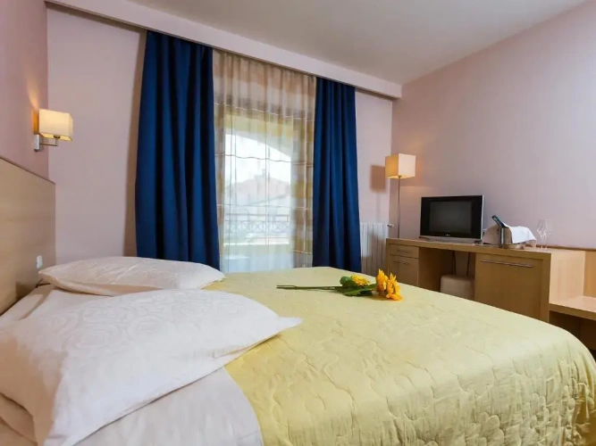Standard Double room with balcony and with view