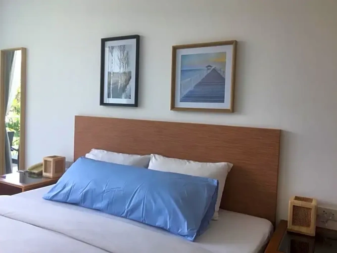 Standard Double room with pool view