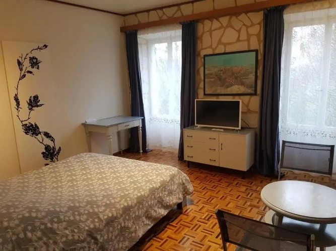 Standard Double room with balcony and with view