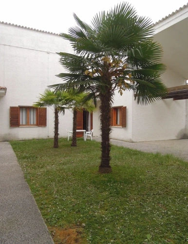 2 Bedrooms Apartment with balcony and with garden view