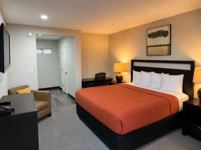 Standard Single room