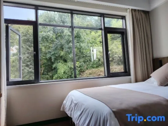 Deluxe Twin room with mountain view