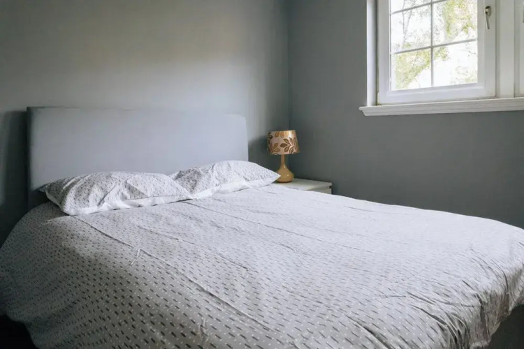 Snug & Serene 2BD Flat - Roseburn