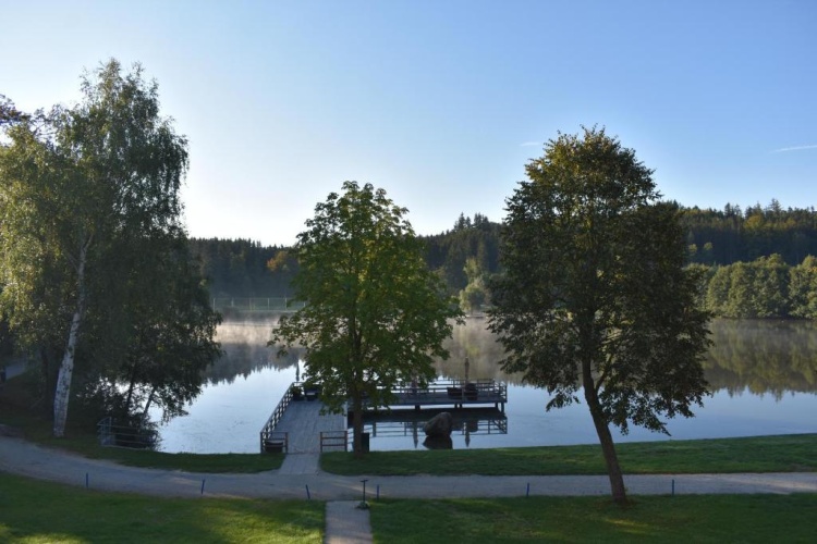 Standard Double room with lake view