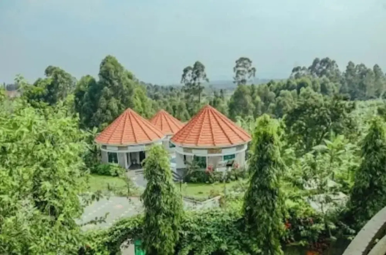 Ahaka cottages