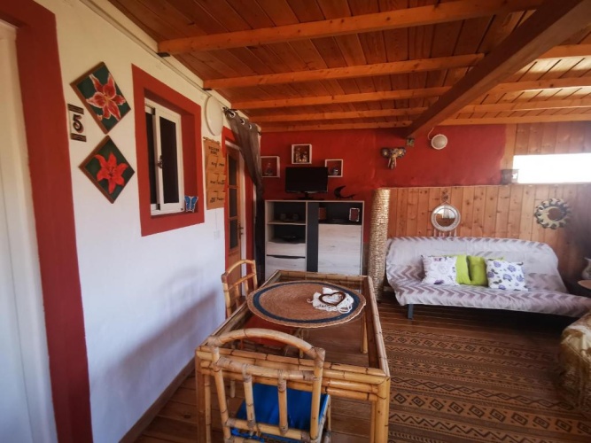 Apartment with garden view