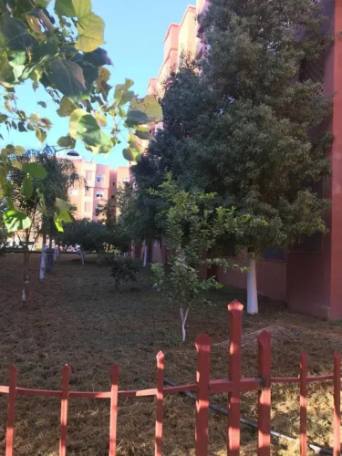 Theresa apartments