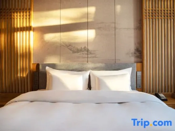 1 Bedroom Suite