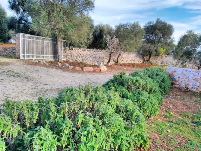 Studio In Ostuni With Enclosed Garden
