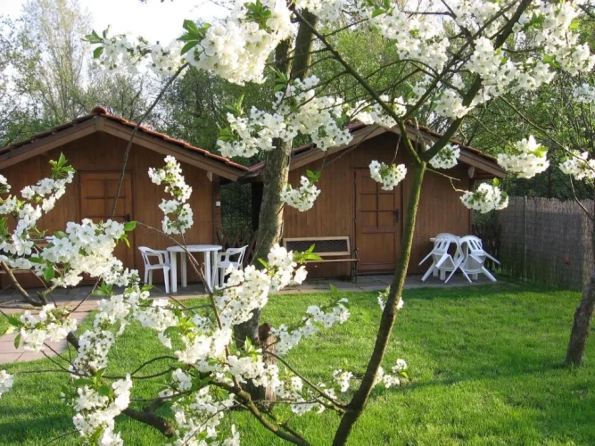 Bungalow