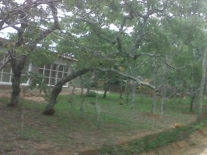Nora Valley Lodge
