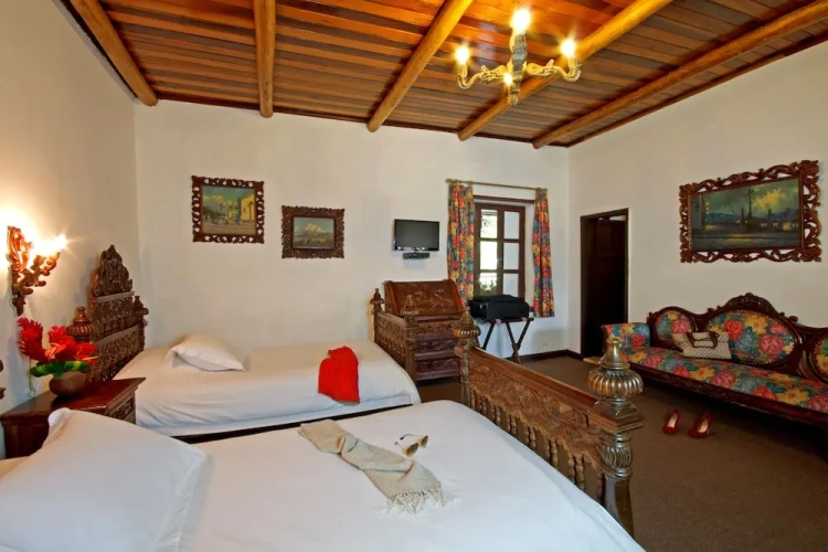 1 Bedroom Standard Double room